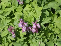 Dsc02163.webp