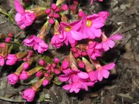 IMG_3313_1024x768.webp