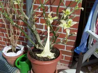 000_0032.webp