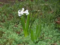 000_0041.webp