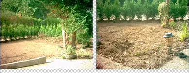 Garten2.webp