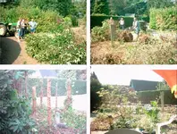 Garten-1.webp
