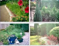 Garten3.webp