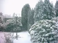 05_05_02 Schnee.webp