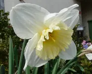 P1030437.webp