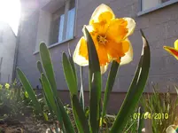 100_2367.webp
