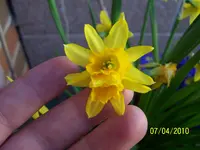100_2371.webp