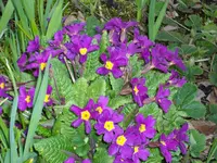 ALIM0691.webp