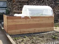 Bild 156.webp
