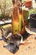 IMG_7994(1).webp