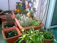 Balkon 2010.webp