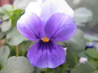 IMG_0668.webp
