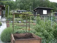 Gartenjahr4frühling3.webp