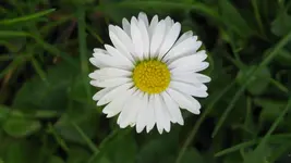004.webp