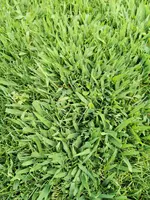 IMG_20240812_164313.webp