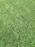 IMG_20240812_164318.webp