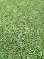IMG_20240812_164318.jpg