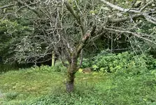 0577C4FF-1609-4BE0-9A93-153F013B066B.webp
