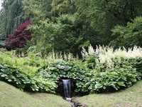 2009Norrvik9.jpg