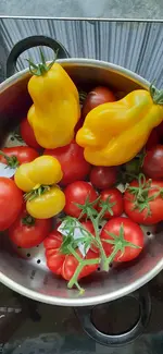 20240813_094336.webp