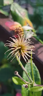 20240813_083850.webp