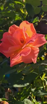 20240813_083910.webp