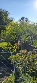 20240813_084827.webp