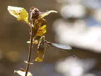 FB_IMG_1722903994283.webp