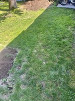 IMG_0185.jpeg
