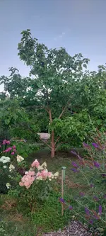 IMG-20240729-WA0012.webp