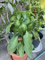 IMG_0076.JPG