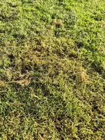 20240816_185706.webp