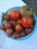 IMG_20240816_183947.webp