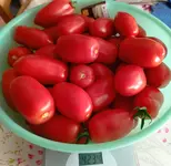 IMG_20240817_125318.webp