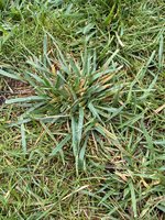 IMG_5677.jpeg