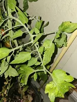 20240818_213039.webp