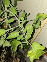 20240818_213039.jpg
