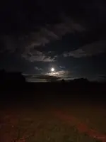 20240819_220256.webp