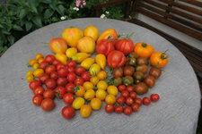 Aug.      2624.JPG