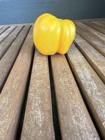 IMG_5483.jpeg