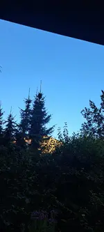 20240821_071659.webp