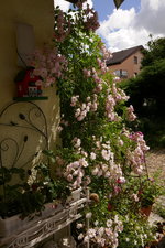 P1000453.JPG