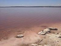 IMG_20240819_144629.jpg