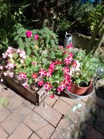 IMG_20240821_110044.jpg
