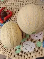 IMG_20240820_135746.webp