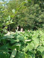 IMG_20240819_145012.jpg