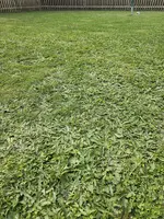 20240820_171030.webp