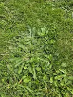 20240820_171018.webp