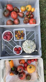 IMG_1929.jpeg