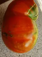 IMG_20240821_175714.webp IMG_20240821_175714.webp